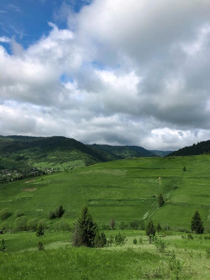 Галерея Карпат Plavja Kültér fotó